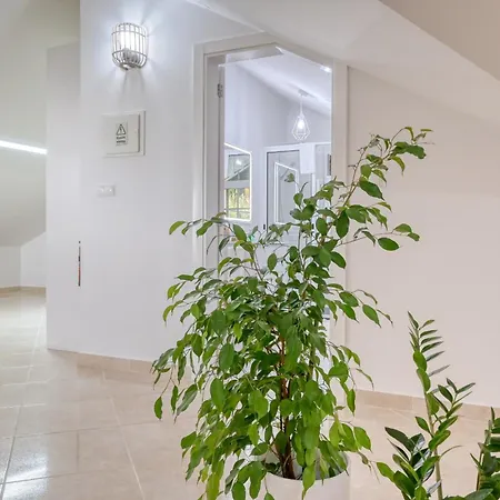 Pôr Do Sol, A In Madeira Appartement Ponta do Sol (Madeira)