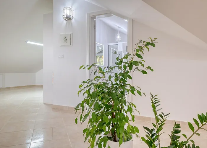 Por Do Sol, A In Madeira Appartamento Ponta do Sol (Madeira)